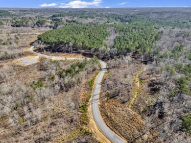 ATTENTION INVESTORS & DEVELOPERS! This rare 98-acre Smith Lake - photo 7