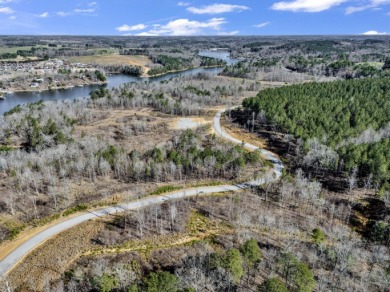 ATTENTION INVESTORS & DEVELOPERS! This rare 98-acre Smith Lake - photo 8
