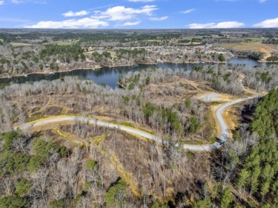 ATTENTION INVESTORS & DEVELOPERS! This rare 98-acre Smith Lake - photo 9