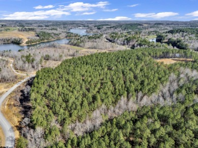 ATTENTION INVESTORS & DEVELOPERS! This rare 98-acre Smith Lake - photo 10