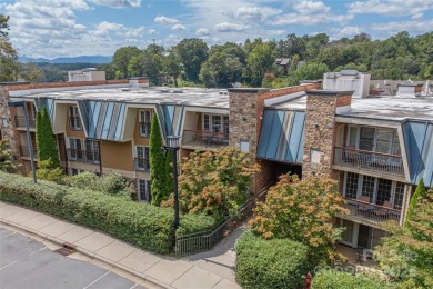 Located in Asheville near Biltmore Village, this turnkey