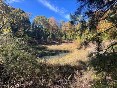 (private lake, pond, creek) Acreage For Sale in Leslie Arkansas