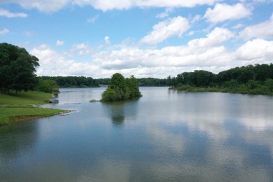 Raccoon Lake, Log Cabin, Lake Access - photo 3
