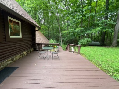 Raccoon Lake, Log Cabin, Lake Access - photo 27