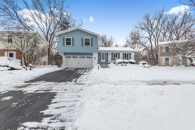 (private lake, pond, creek) Home For Sale in Lombard Illinois