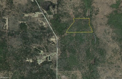 Lake Acreage For Sale in Amity, Maine