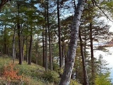 Build your sensational lakefront home within the Emerald Shores - photo 4