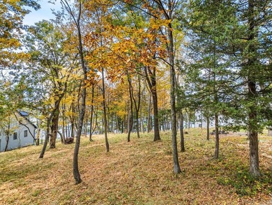 Build your sensational lakefront home within the Emerald Shores - photo 7
