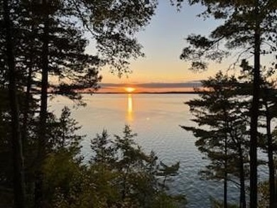 Build your sensational lakefront home within the Emerald Shores - photo 8