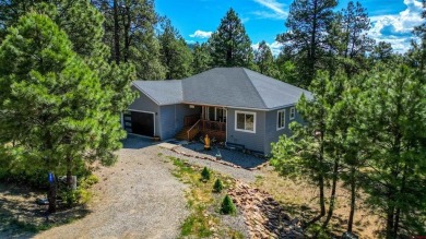 Hatcher Reservoir Home Active Under Contract in Pagosa Springs Colorado