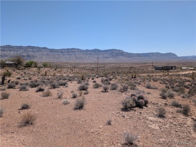 Lake Mead Lot For Sale in Meadview Arizona