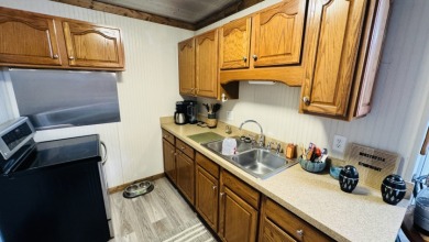 REDUCED! Affordable Lake Retreat -- Turnkey & Ready to Enjoy - photo 13