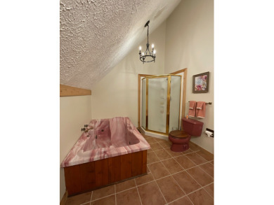 Raccoon Lake, Log Cabin, Lake Access - photo 16