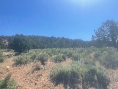 Erwin Lake Lot For Sale in Big Bear City California