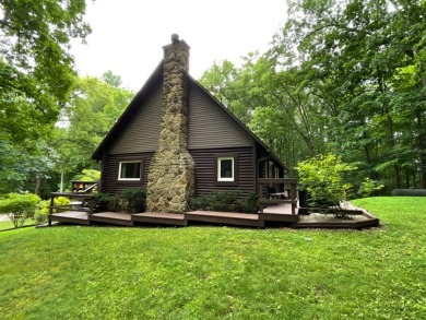 Raccoon Lake, Log Cabin, Lake Access - photo 29
