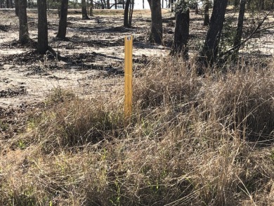 Water View Off Water Lot - Lake Lot For Sale in Marquez, Texas