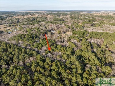 If you are looking for a large private seclude acreage, I have - photo 4