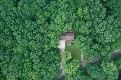 Raccoon Lake, Log Cabin, Lake Access - photo 30