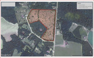 Vacant land, +/- 19 acres high acres for RV Park with +/- 4 - photo 3