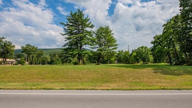 Susquehanna River - Clinton County Acreage For Sale in Lock Haven Pennsylvania