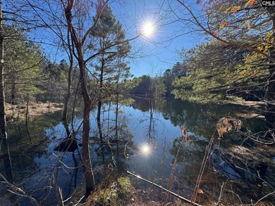 Escape to Your Private Paradise in Swansea, SC. Discover the - photo 2