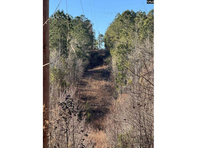Escape to Your Private Paradise in Swansea, SC. Discover the - photo 4