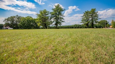 Susquehanna River - Clinton County Acreage For Sale in Lock Haven Pennsylvania