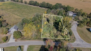 Lake Lot For Sale in Perrinton, Michigan