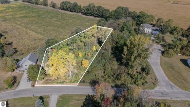 Lake Lot For Sale in Perrinton, Michigan