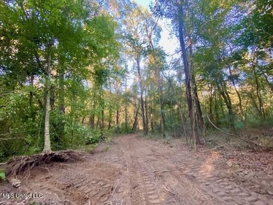 64 Wooded Acres - Prime Location Near I-55, Exit 13 - Fernwood - photo 3