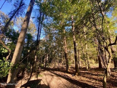 64 Wooded Acres - Prime Location Near I-55, Exit 13 - Fernwood - photo 4