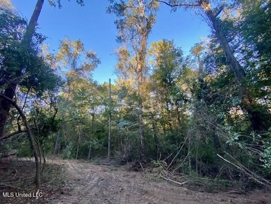 64 Wooded Acres - Prime Location Near I-55, Exit 13 - Fernwood - photo 7