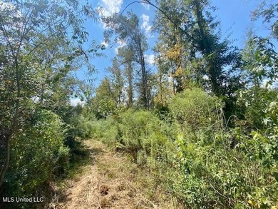 (private lake, pond, coastal) Acreage For Sale in Magnolia Mississippi