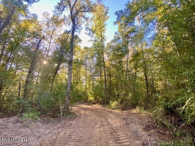85 Wooded Acres - Prime Location Near I-55, Exit 13 - Fernwood - photo 2