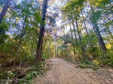85 Wooded Acres - Prime Location Near I-55, Exit 13 - Fernwood - photo 5