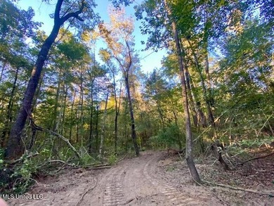85 Wooded Acres - Prime Location Near I-55, Exit 13 - Fernwood - photo 6
