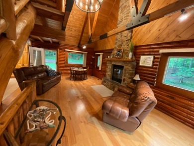 Raccoon Lake, Log Cabin, Lake Access - photo 4