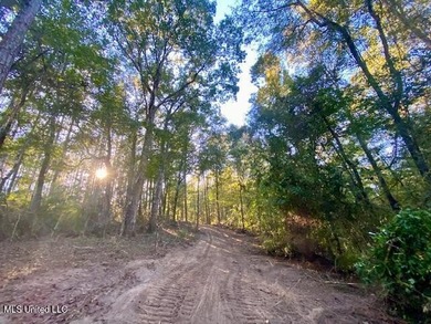 85 Wooded Acres - Prime Location Near I-55, Exit 13 - Fernwood - photo 8