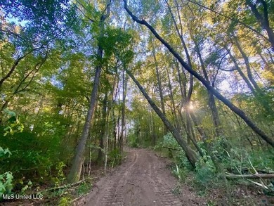 85 Wooded Acres - Prime Location Near I-55, Exit 13 - Fernwood - photo 9