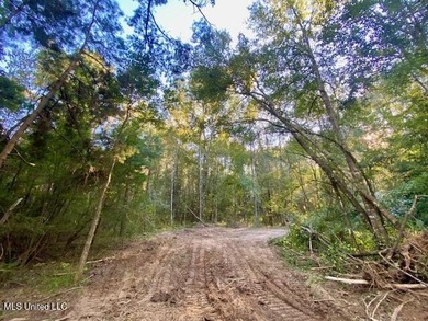 85 Wooded Acres - Prime Location Near I-55, Exit 13 - Fernwood - photo 10