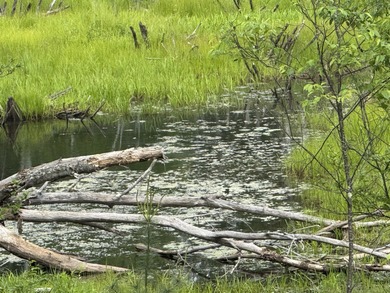 (private lake, pond, creek) Acreage For Sale in Tustin Michigan