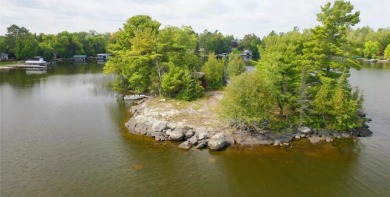 Lake Vermilion Home For Sale in Greenwood Twp Minnesota