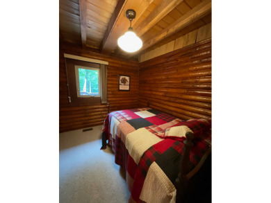 Raccoon Lake, Log Cabin, Lake Access - photo 19