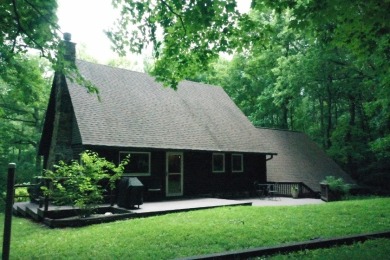 Raccoon Lake, Log Cabin, Lake Access - photo 10