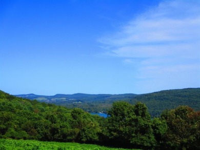 Otsego Lake Acreage For Sale in Cooperstown New York