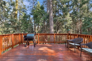 Welcome home to this fully renovated modern mountain retreat - photo 32