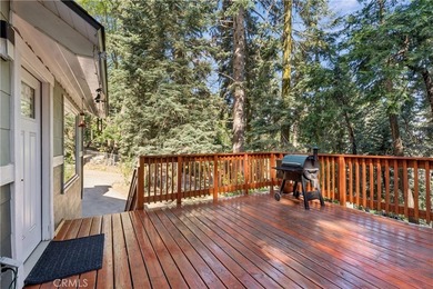 Welcome home to this fully renovated modern mountain retreat - photo 33