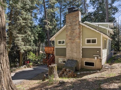 Welcome home to this fully renovated modern mountain retreat - photo 41
