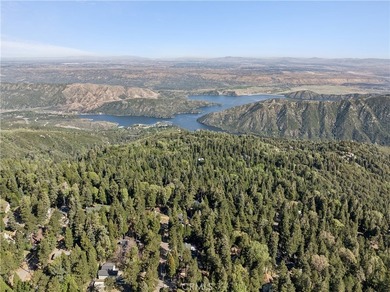 Welcome home to this fully renovated modern mountain retreat - photo 43