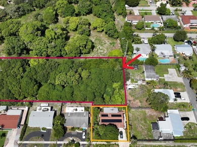 Versatile Land with Income Potential - Lychee, star fruit - photo 1